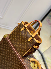 Pre-Owned LV Small Pumpkin Bag - Limited Edition Monogram Canvas