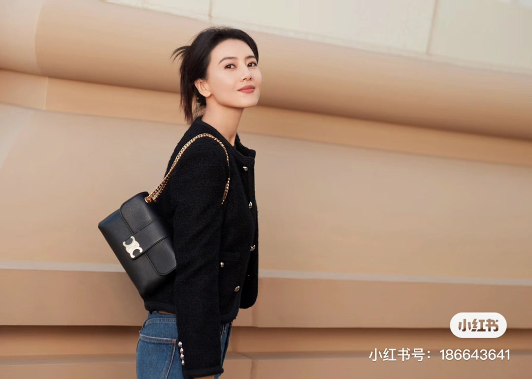 CELINE S24 Handbags by Gao Yuanyuan - Elegance Redefined