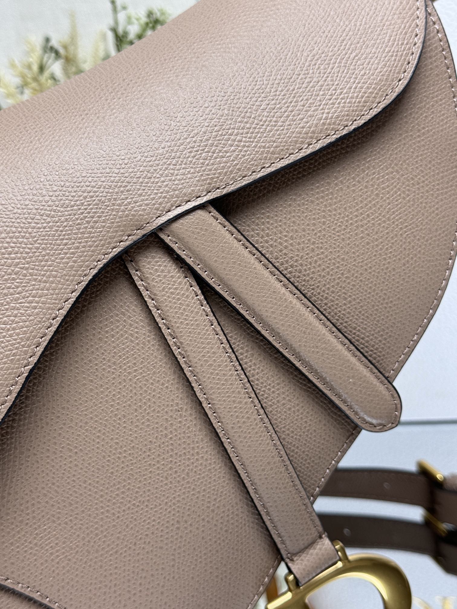 Dior Saddle Bag - Large Nude Pink with Palm Print