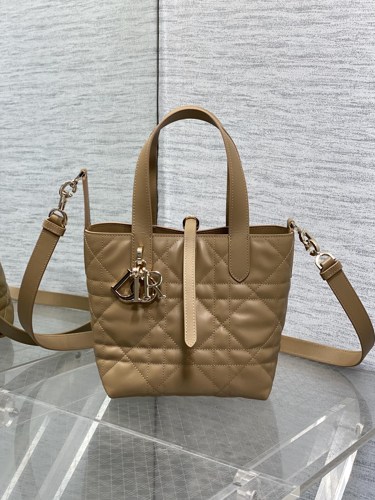 Dior Toujours Vertical Series Small Calfskin Handbag