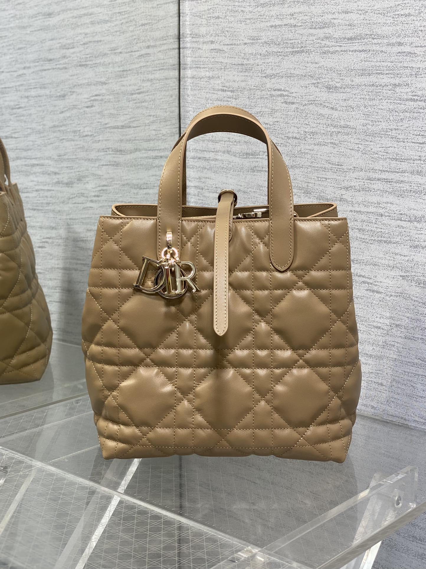 Dior Toujours Vertical Series Medium Size Calfskin Bag