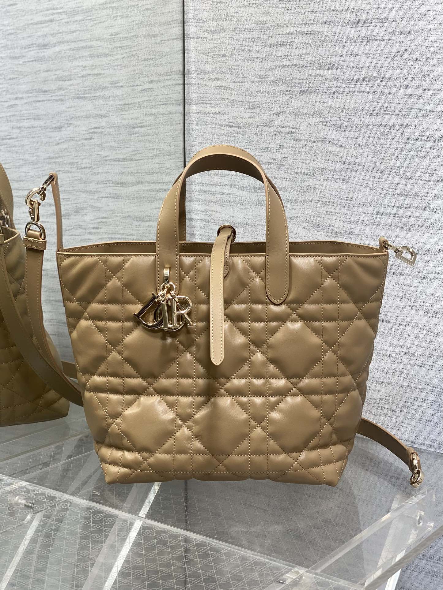 Dior Toujours Vertical Series Medium Size Calfskin Bag