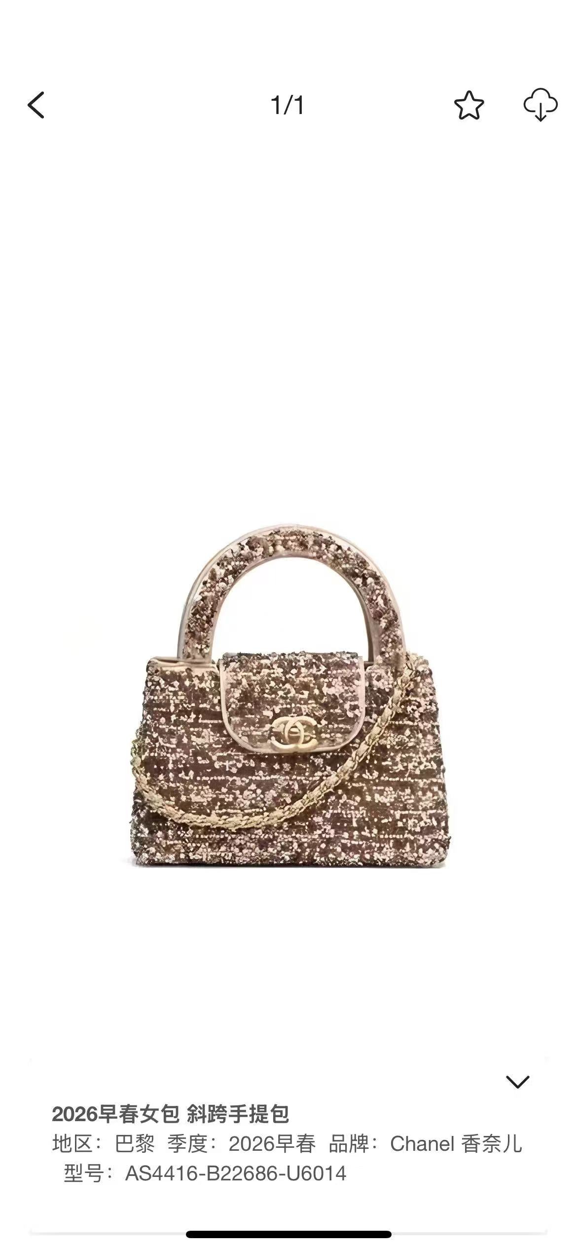 Limited Edition Chanel 26c Kelly Sequin Bag
