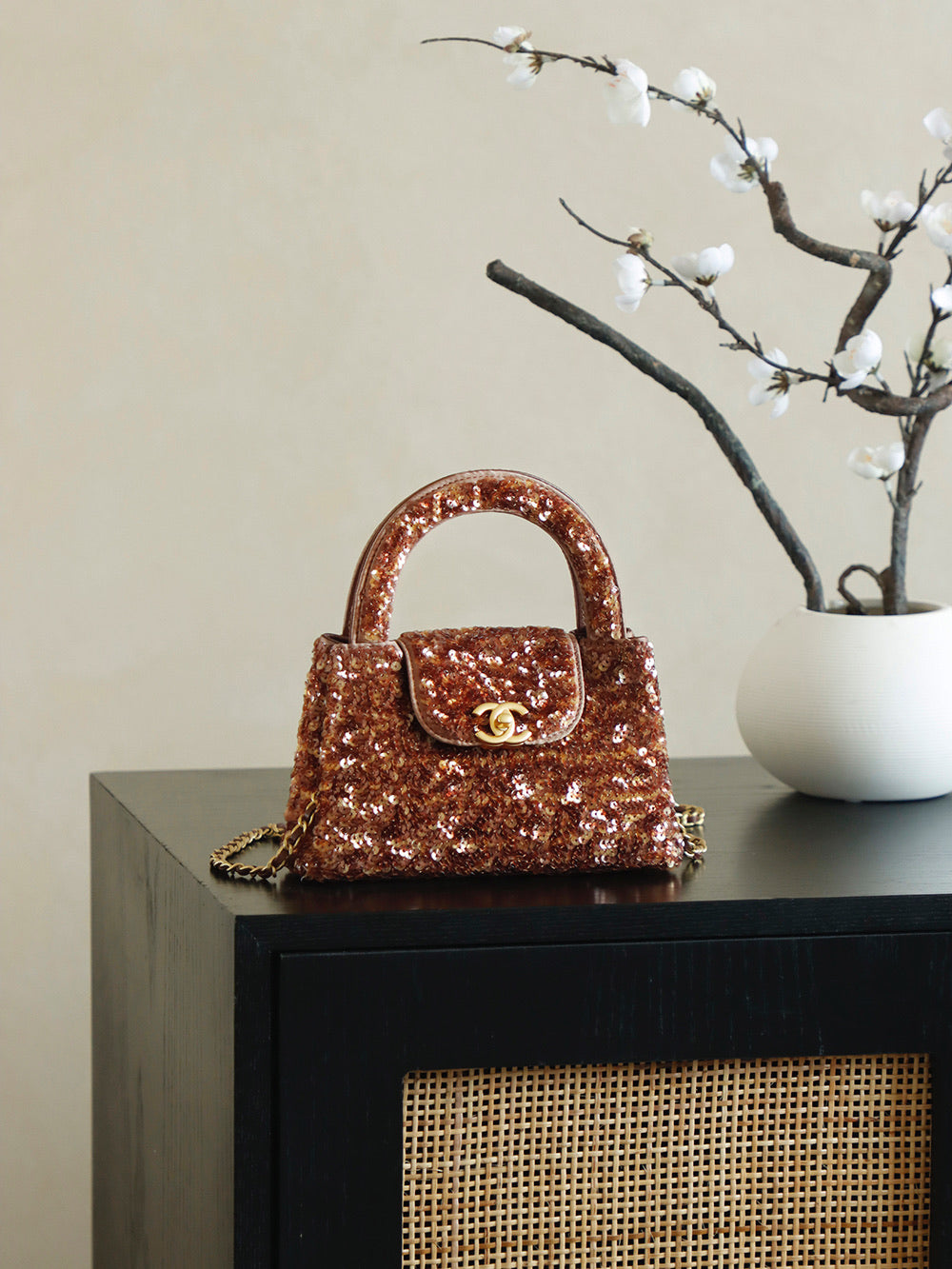 Retro Chain Shoulder Bag - ChanÃ©l 2026 Early Spring Series in Brown